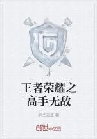 王者荣耀之高手无敌